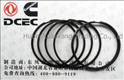 A3903384 C3932520 Dongfeng Cummins Oil Ring/Piston Ring