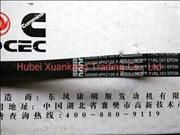 C5262265 Dongfeng Cummins Engine Part Electric ISDE Tianjin Fan Belt 