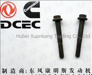 A3901757 Dongfeng Cummins Engine Part/Auto Part Inlet Pipe Screw