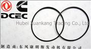 NC3924605  Dongfeng Cummins Engine Part/Auto Part High Pressure Pump Seal Washer