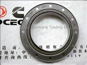 N3883620 Dongfeng Cummins Engine Part/Auto Part Rear Crankshaft Oil Seal