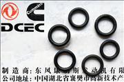 C3818885  Dongfeng Cummins Engine Part/Auto Part Switch Valve Shaft Sealing Ring 