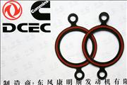 NC3918779 Dongfeng Cummins Engine Pure Part Water Connecting Pipe Gasket