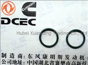 NA3913994 Dongfeng Cummins Engine Component/Part O-ring Seal   