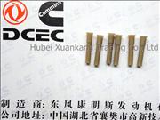 A3919002 Dongfeng Cummins Engine Component/Part Piston Cooling Nozzle