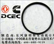 NC3883284 Dongfeng Cummins Engine Part/Auto Part/Spare Part 6BT AA Turbocharger Transition Pipe Seal Washer 