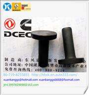 NC3947759 Dongfeng Cummins Engine Part/Auto Part/Spare Part/Car Accessiories Electronically controlled ISDE Tianjin Tappet Body