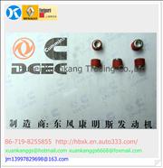 Tapered plug C3008464 Dongfeng Cummins Engine PartC3008464