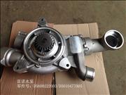 Renault Water Pump D5600222003/1307LN01-010