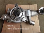 NRenault Water Pump D5600222003/1307LN01-010