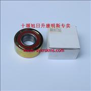 ND5010477345 DCi11 Dongfeng Renault engine idler assembly