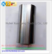 N10BF11-040211 Dongfeng Tianjin 4H Engine Part/Auto Part/Spare Part/Car Accessiories Piston Pin