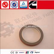 Cummins Diesel Engine parts Oil Seal 3020183 on NT855 Motor3020183
