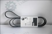 Cummins ISF2.8 Diesel Engine Part V Ribbed Belt 53128215312821