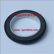 ND5010295829 Dongfeng Renault DCI11 crankshaft front oil seal / D5010295829