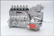 Dongfeng Cummins Fuel Injection Pump 39763753976375