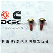 C3907998 Dongfeng Cummins Engine Pure Part Timing Pin Screw 