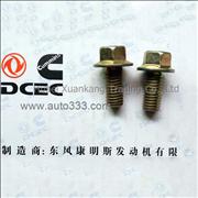 C3903990 Q1841020 Dongfeng Cummins Engine Pure Part Water Filter Seat Screw 