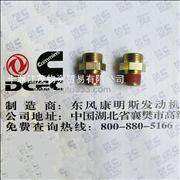 joint C3415331 Dongfeng Cummins Engine Part/Auto Part/Spare Part/Car AccessioriesC3415331