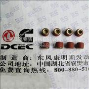 Dongfeng Cummins Tapered plug C3900846 Engine Part/Auto Part/Spare Part/Car AccessioriesC3900846