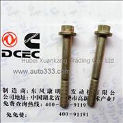 C3925186 Dongfeng Cummins Engine Pure Part Belt Pulley Bracket Screw