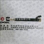 Dongfeng Cummins Engine Part/Auto Part/Spare Part/Car Accessiories (260 horsepower) Fuel injector C3928384C3928384