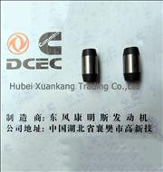 Dongfeng Cummins Engine Part/Auto Part/Spare Part/Car Accessiories  Location pin C3901846C3901846