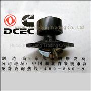 A3960342 4935793 Engine Part/Auto Part/Spare Part/Car Accessories  Dongfeng Cummins Water Pump Assembly