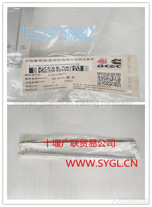 3919677 Dongfeng Cummins Engine Accessories fuel manifold