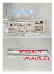 N3919677 Dongfeng Cummins Engine Accessories fuel manifold