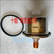 N3629205 Cummins Thermostat