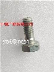 N3902173Dongfeng Cummins 6BT injector return pipe armpit bolts