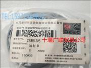 N4991305 Dongfeng Cummins 6BT crankshaft front oil seal