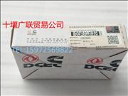 3978820 Supply Dongfeng Cummins ISDE crank bearing3978820