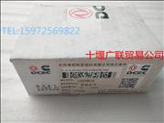 3978818 Dongfeng Cummins Engine Assembly ISBE Crankcase3978818 Dongfeng Cummins Engine Assembly ISBE Crankcase