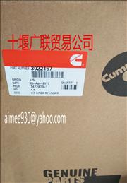 N3022157 Chongqing Cummins K19 engine cylinder liner