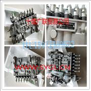 N4994276 Dongfeng Cummins 6BT fuel injection pump