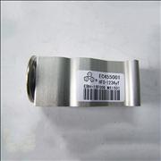 N8106010-C0101 Auto AC Expansion value for Dongfeng Draco 
