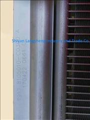 NA class goods  Dongfeng Draco air conditioning condenser 8105010-C0300