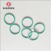 NDongfeng Tianlong Hercules Renault engine injector casing sealing ring 5003065045