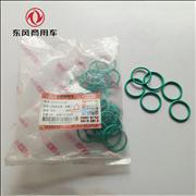 NDongfeng Tianlong Hercules Renault engine injector casing sealing ring 5003065045