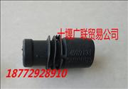 N4989131 Automobile spark plug dust cap