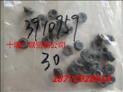 3910959 Engine nut