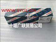 N0445120289-81W Dongfeng Cummins ISDE Bosch injector
