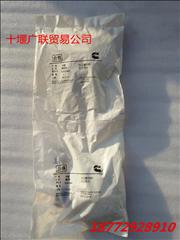 N5265266F Futian Cummins ISF seals