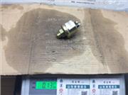 61500090051 Pressure sensing plug